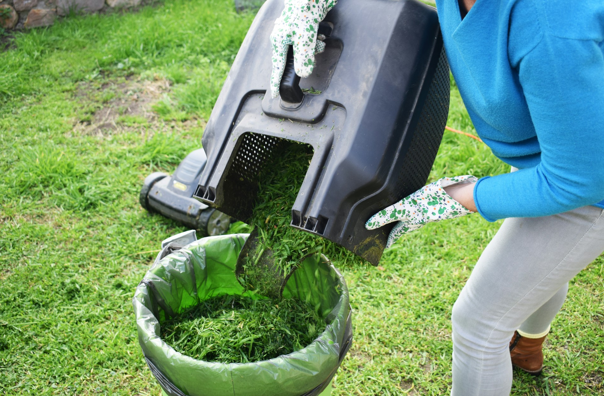 Spring Lawn Care: Maximizing Growth and Eliminating Pests